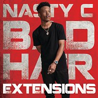 Nasty C – Bad Hair Extensions