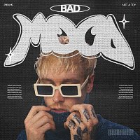 NOT A TOY – BAD MOOD