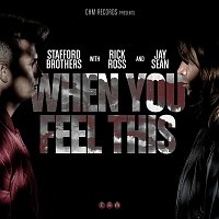 Stafford Brothers, Jay Sean & Rick Ross – When You Feel This