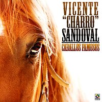 Vicente "Charro" Sandoval – Caballos Famosos