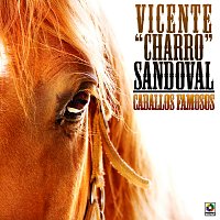 Caballos Famosos