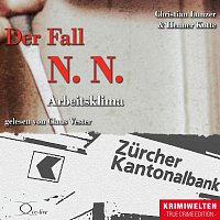 Christian Lunzer, Henner Kotte, Claus Vester – Der Fall N. N.: Arbeitsklima