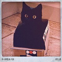 Přední strana obalu CD Hello (feat. Amelia Fox)