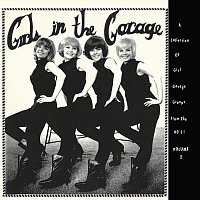 Přední strana obalu CD Girls in the Garage, Vol. 2