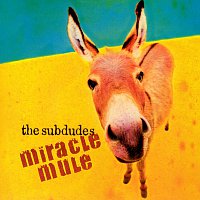 Přední strana obalu CD Miracle Mule