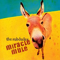 Miracle Mule