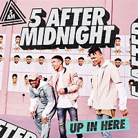 Přední strana obalu CD Up In Here (KNOXA Remix)