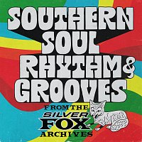Přední strana obalu CD Southern Soul Rhythm & Grooves: From the Silver Fox Archives