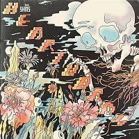 The Shins – Painting a Hole