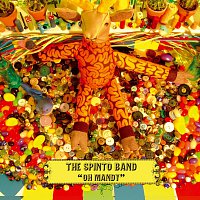 The Spinto Band – Oh Mandy [Demo]