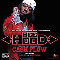 Ace Hood, Rick Ross, T-Pain – Cash Flow [Explicit Version]