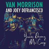 Van Morrison, Joey DeFrancesco – You're Driving Me Crazy