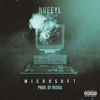NGeeYL – Microsoft