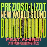 Prezioso, LIZOT, New World Sound, Shibui, Paolo Pellegrino, Lotus – Bounce Around