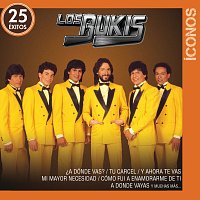 Los Bukis – Íconos 25 Éxitos