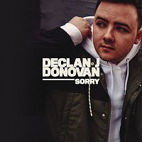 Declan J Donovan – Sorry (Cover)