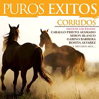 Puros Éxitos: Corridos