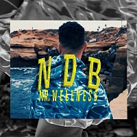 NDB – Mr. Wellness