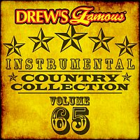 Přední strana obalu CD Drew's Famous Instrumental Country Collection [Vol. 65]
