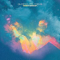 Přední strana obalu CD Won't Give Up