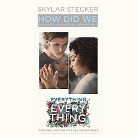 Skylar Stecker – How Did We [Evan Duffy Orchestral Arrangement]