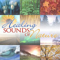 John Bickerton & Eric Bernard – Healing Sounds of Nature