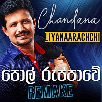 Přední strana obalu CD Polruppawe (Remake)