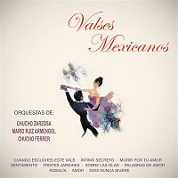 Various  Artists – Valses Mexicanos