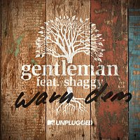 Gentleman, Shaggy – Warn Dem [MTV Unplugged Live]