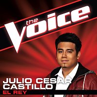 Julio Cesar Castillo – El Rey [The Voice Performance]