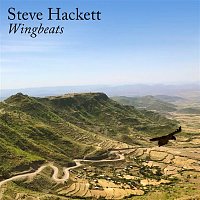 Steve Hackett – Wingbeats