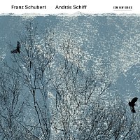 Přední strana obalu CD Franz Schubert