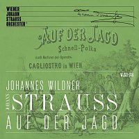 Wiener Johann Strauss Orchester – Auf der Jagd