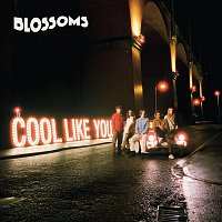 Blossoms – Cool Like You LP