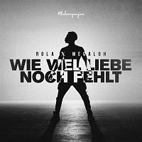 Rola x Megaloh – Wieviel Liebe noch fehlt