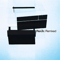 Přední strana obalu CD Reich: Remixed 2006