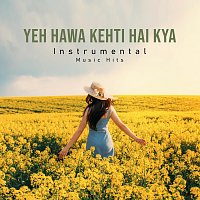 Yeh Hawa Kehti Hai Kya [Instrumental Music Hits]