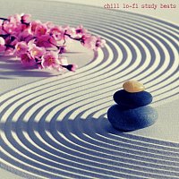 Různí interpreti – Chill Lo-Fi Study Beats