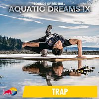 Přední strana obalu CD Aquatic Dreams IX