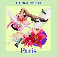Various Artists.. – Big Beat Ignition: Paris