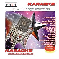 Přední strana obalu CD Best of Megahits Vol. 33