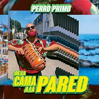 Perro Primo – De la Cama a la Pared
