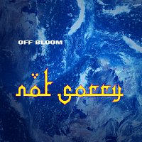 Off Bloom – Not Sorry