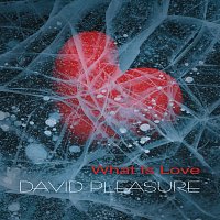 Přední strana obalu CD What Is Love