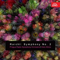 Přední strana obalu CD Raichl: Symfonie č. 2