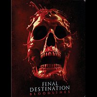 Různí interpreti – Nezvratný osud: Pokrevní linie - steelbook - motiv Alt Skull
