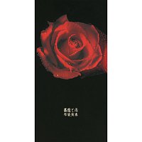 Hotei – A Rose In The Rain