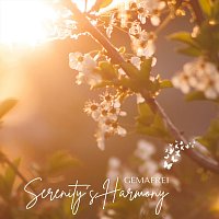 Přední strana obalu CD Serenity’s Harmony