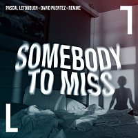 Pascal Letoublon, David Puentez, Remme – Somebody To Miss