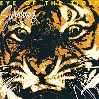 Survivor – Eye Of The Tiger